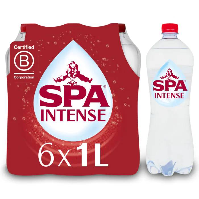 SPA BRUIS 1,0L PET /6