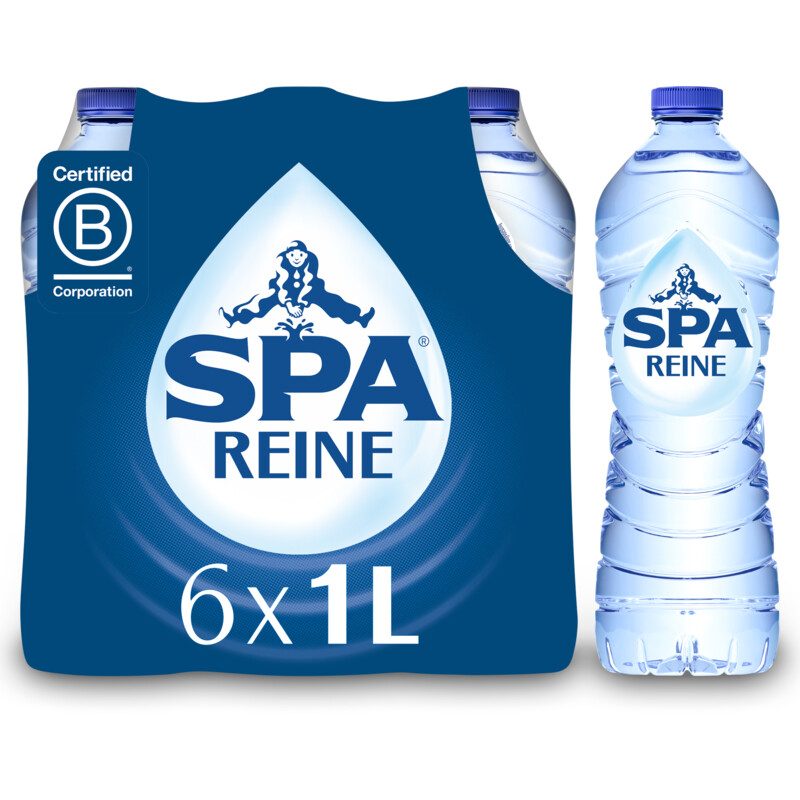 SPA REINE 1,0L PET /6